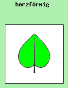 herzfrmig